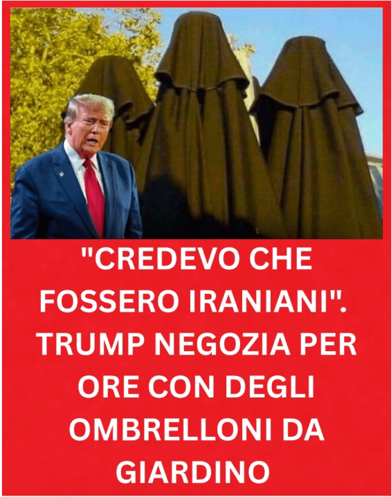 vig trump 3