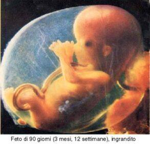 Feto 90g 293x300