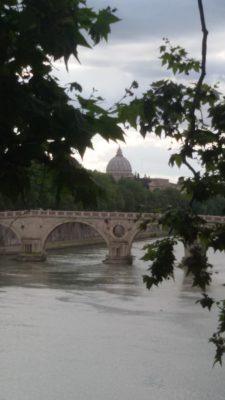 San Pietro Foglie 1a