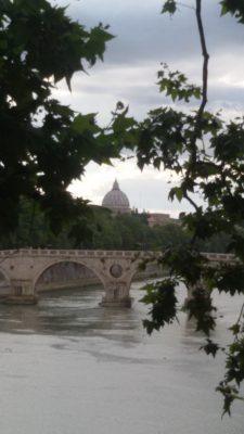 Sanpietro Foglie 2a