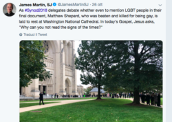 SPIGOLATURE SUL SINODO. VOTARE SENZA CAPIRE L'ITALIANO. LA MEZZA VITTORIA LGBT. ALL'INDICE! NON SEI CATTOLICO! Schermata 2018 10 28 Alle 14.55.52 250x177
