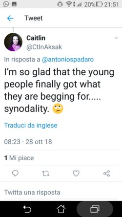 Spadaro Sinodo 8 250x444