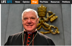 MÜLLER: INTOLLERABILE LA CONDOTTA OMOSESSUALE DEL CLERO. SU MCCARRICK: LA CHIESA DEVE PUBBLICHE SCUSE. Schermata 2018 11 21 Alle 20.52.50 250x159
