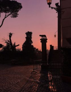 San Lupa Parucc 2 250x322