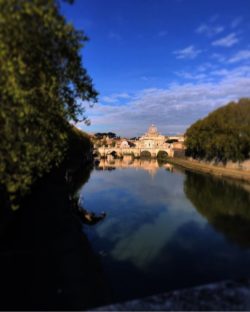 San Pietro 190415 Parucc 250x312