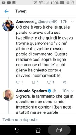 SPADARO ALLA GUERRA DEI TWEET. (E FORSE A NAPOLI O PALERMO...). SORRISI ELETTORALI,TWEET DELIRANTE DI SORGE. Anna Spad 2 250x444