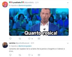 Quanto Rosica 250x196