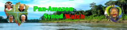 AMAZZONIA, LE MINACCE ALLA CHIESA DAL SINODO. UN SITO WEB PER NON ABBASSARE LA GUARDIA. Schermata 2019 06 22 Alle 21.10.31 250x60
