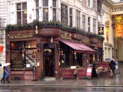 Wellington Covent Garden 05 250x188