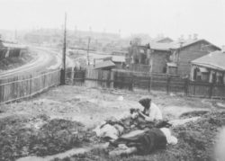 015 Fotografie Di Alexander Wienerberger Del 1933 Tratte Dallarchivio Fotografico Del Museo Memoriale DellHolodomor Di Kiev 250x179