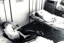 021 1933 Bambini Affamati In Uno Degli Insediamenti Di Poltava 250x170