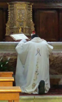LA CEI CENSURA LA MADONNA DI CIVITAVECCHIA? IL REPORTAGE SCOMPARSO... DErasmo 200327 250x413