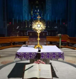 LETTERA APERTA DI UN SACERDOTE AL PAPA: RIAPRITE LE CHIESE. San Tissimo 250x260