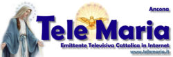 Tele Maria 250x83