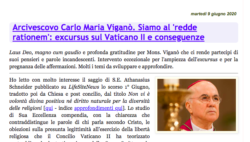 Viganò 200609 250x142
