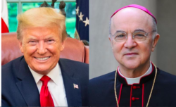 Viganò Trump 250x152