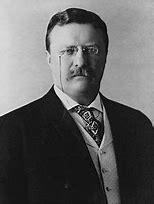 Theo Roosevelt