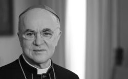 Vigano Black And White 250x154