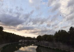 San Pietro 201003 B 250x179