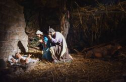 Cigoli Presepe Artistico San Miniato Toscana 250x163