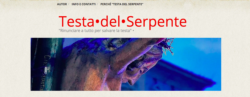 Schermata 2020 12 29 Alle 21.55.59 250x97