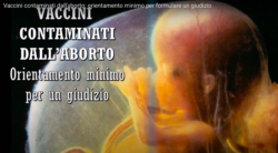Lettera Aperta a mons. Ghizzoni, Ravenna, sull'Obbligo del Vaccino. Schermata 2021 03 08 Alle 13.00.05 250x138