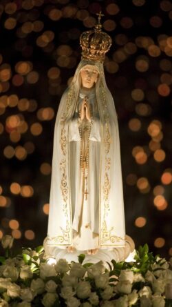 Fatima 250x445
