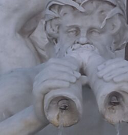 Navona 7 250x263
