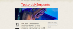 DDL Zan. Chiesa senza Misericordia? Ma la sua Missione è Annunciare la Verità Schermata 2021 05 15 Alle 14.46.18 250x100