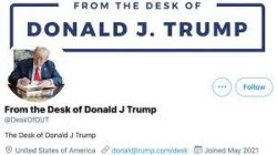 Trump Desk 250x140