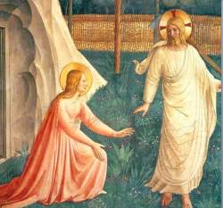 "Blessed Angelico": in TV un Docufilm di Elisabetta Valgiusti. Questa Sera. Fra Angelico 250x233