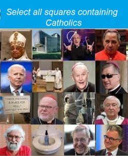 Captcha 250x305