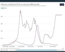Senza Clamore, adesso si Può Usare l'Ivermectina contro il Virus... Pare che Funzioni. Contagi India EU 250x201