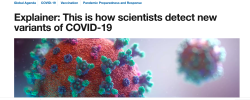 La Variante Omicron è Nota da Luglio. Perché Spargere il Terrore Adesso? Schermata 2021 11 27 Alle 18.09.06 250x100