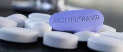Molnupiravir 2 250x106