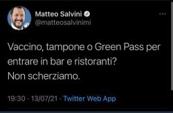 Salvini 250x163