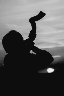 Shofar Vox 1 250x376