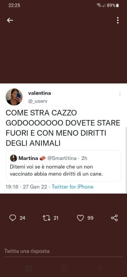 Covid Valantina Cani 250x542