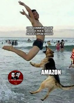 Bestiario GreenPascista. A Futura Memoria, Immagini e Parole dal Web Cvoid Amazon 3 250x346