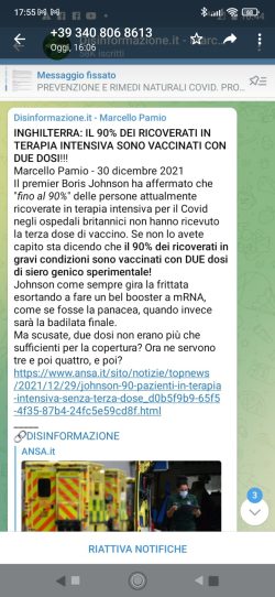 Inghilterra TI 2 Dosi 250x542