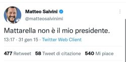 Salvini Mattarella 250x123