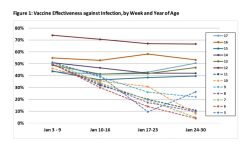 Defender. Il Siero Pfizer: Scarsa Efficacia sui Bambini. Uno Studio. Vaccine Effectiveness Against Infection By Week Year Age Figure 1 1024x616 1 250x150