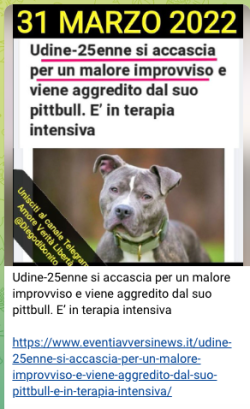 Schermata 2022 04 02 Alle 14.53.35 250x409
