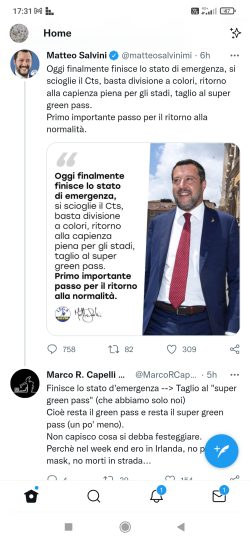 Il Bestiario del Malore Improvviso. E dell'Incredibile Pesantezza dell'Idiozia. Salvini Festeggia 2 250x542