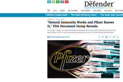 pfizer