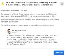 Facebook Censura. Stilum Curiae, e Vik van Brantegem. La Colpa? Leso Siero... Vik 1 250x217