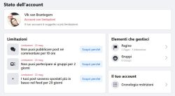 Facebook Censura. Stilum Curiae, e Vik van Brantegem. La Colpa? Leso Siero... Vik 3 250x137