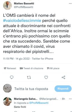 Bassetti Scimmie 250x373