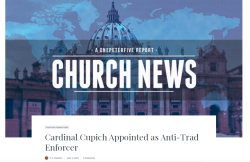 One Peter Five. Il Cardinale Cupich Designato come Sicario anti-Tradizionalisti. Schermata 2022 06 06 Alle 06.43.00 250x162