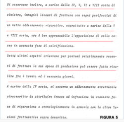 laporta 5